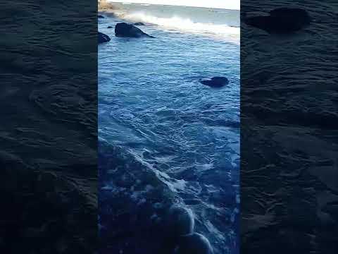 Playa de Rada Tilly, Chubut