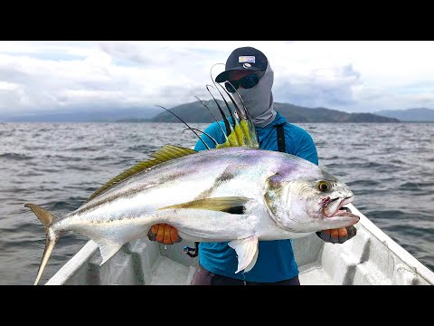 Deep Sea Fishing for Pacific Giants (CATCH & COOK) | Field Trips Panama