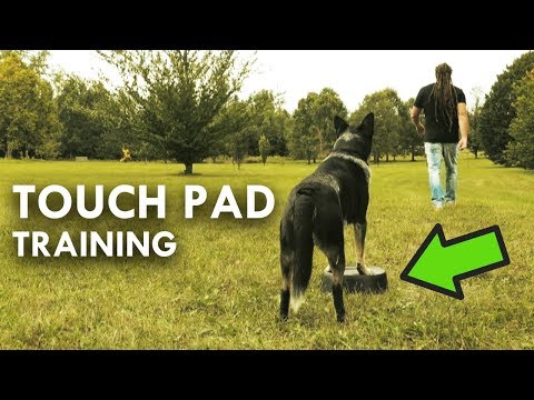 Touch Pad Training to Improve Focus and Agility - YouTube