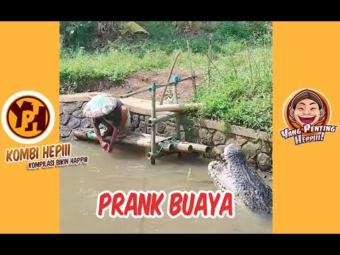 kombi-heppiii-prank-buaya