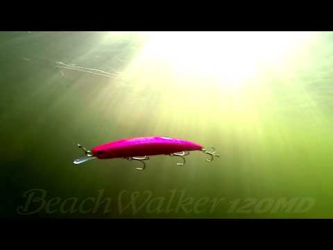 DUO`s Lures in Motion #17: Beach Walker 120MD