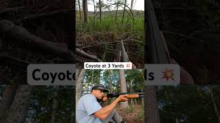 It don’t get any closer than this! #coyotehunting #predatorcontrol #hunting