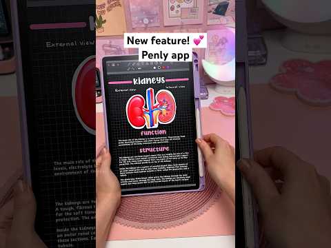 Note taking app you NEED to try ✍️💕 study notes | Penly android app | Samsung tablet | galaxy tab S9