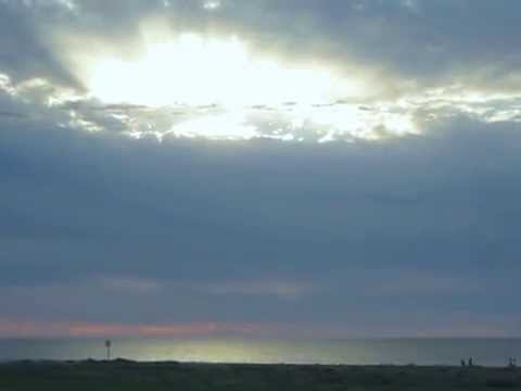 Gladstone Pier - Redgum