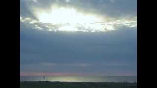 Gladstone Pier - Redgum