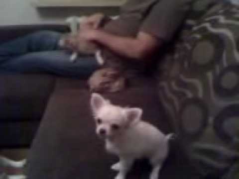 Poproś....... i poproszone