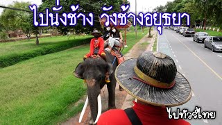 วังช้างอยุธยาเที่ยวได้แล้ว : ไปทัวร์ไทย วังช้างอยุธยาเที่ยวได้แล้ว : ไปทัวร์ไทย