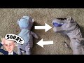 Body Swap 3