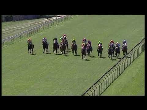 20200226 Hollywoodbets Scottsville Express Clip Race 2 won by MATCHLESS CAPTAIN