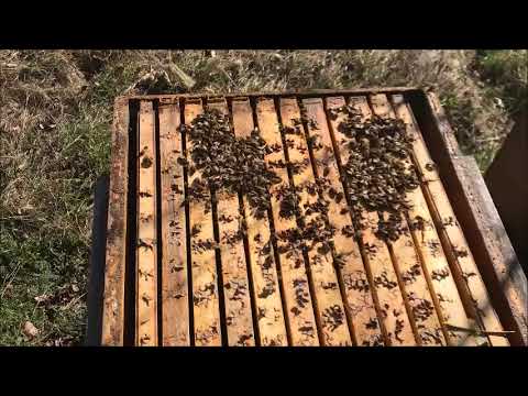 Der Sinn des schiedens