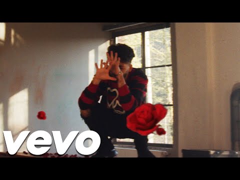 Trippie Boi - Sie Weiss (Official Video 4K)