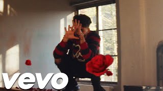 Sie Weiss Music Video