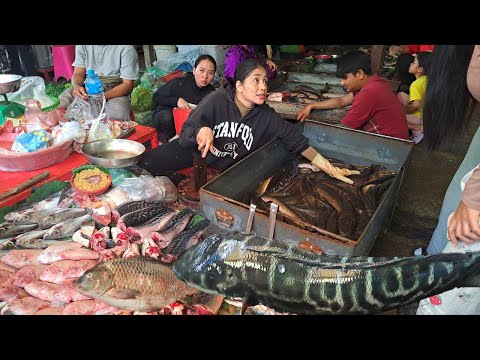 Amazing daily activities Cambodian Routine Foods and Lifestyle market- Market Show