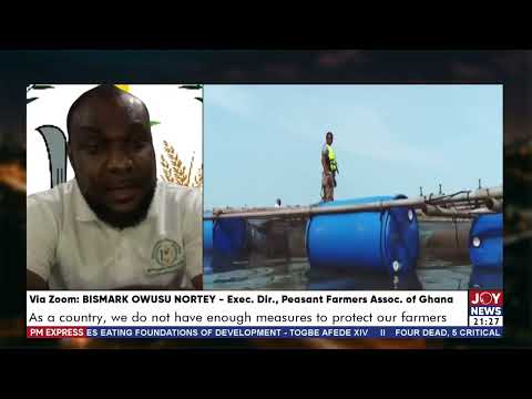 Ensuring institutions buy food directly from farmers will create a ready market - Bismark Nortey