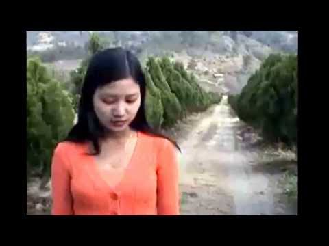 𝐇𝐀𝐖𝐈 𝐓𝐇𝐀 