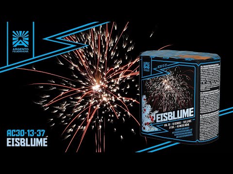 "Eisblume" - 13Sh 30mm weiße Blütensterne + Blutrot [Batch 2024]