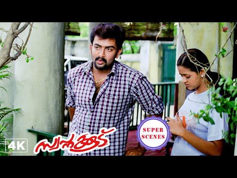 Swapnakoodu Super Scenes | Prithviraj teases Meera Jasmine & tries to grab attention ! | Prithviraj