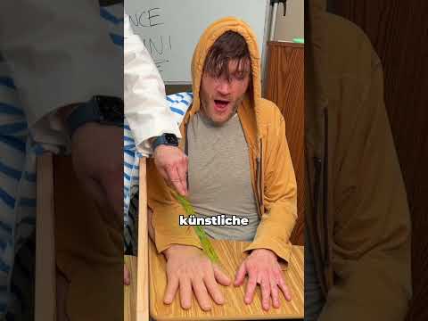 Wie das Gehirn eine falsche Hand für echt hält