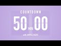 50 Min Countdown Flip Clock Timer / Simple Beeps 🫐 🔔
