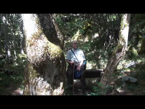 Senda de La Tejeda De Tosande .