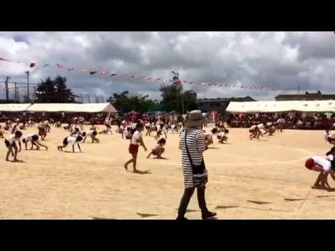 浦添市立浦添小学校(浦添市)の動画