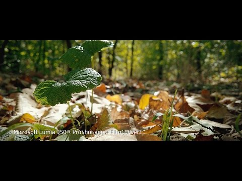 4K Video on Microsoft Lumia 950 with ProShot and FilmConvert grade