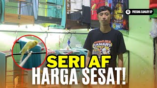 Download lagu AF HEDON 300 THOUSAND❓PRESMA WALK WEST PROGO mp3 Download lagu AF HEDON 300 THOUSAND❓PRESMA WALK WEST PROGO mp3