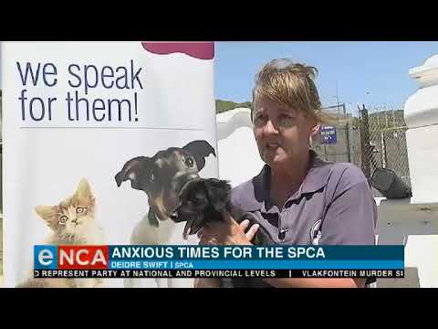 SPCA in Uitenhage has closed its doors