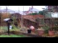Met Office Red Weather Warning 12 / 2 / 2014 - YouTube