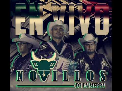 Novillos dela Sierra - Ezequiel Coronado en vivo (2021)