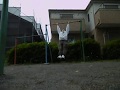Reverse grip 51 Muscle ups  逆手マッスルアップ51回