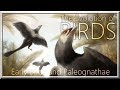 BIRDS I : Early birds and Paleognathae
