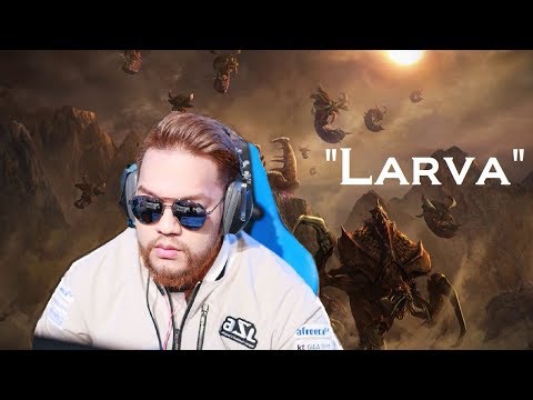 Starcraft Remastered - The Best of Larva