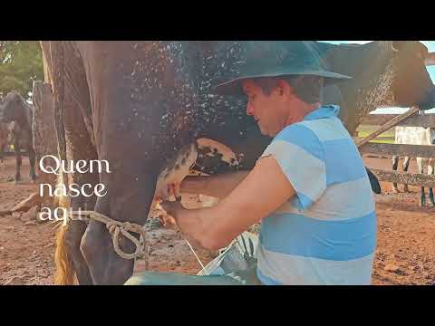 Nova Iguaçu de Goiás, 35 Anos (Video de Homenagem)