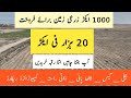 Agriculture land for sale in Pakistan | land for sale in Pakistan | zameen for sale in Pakistan