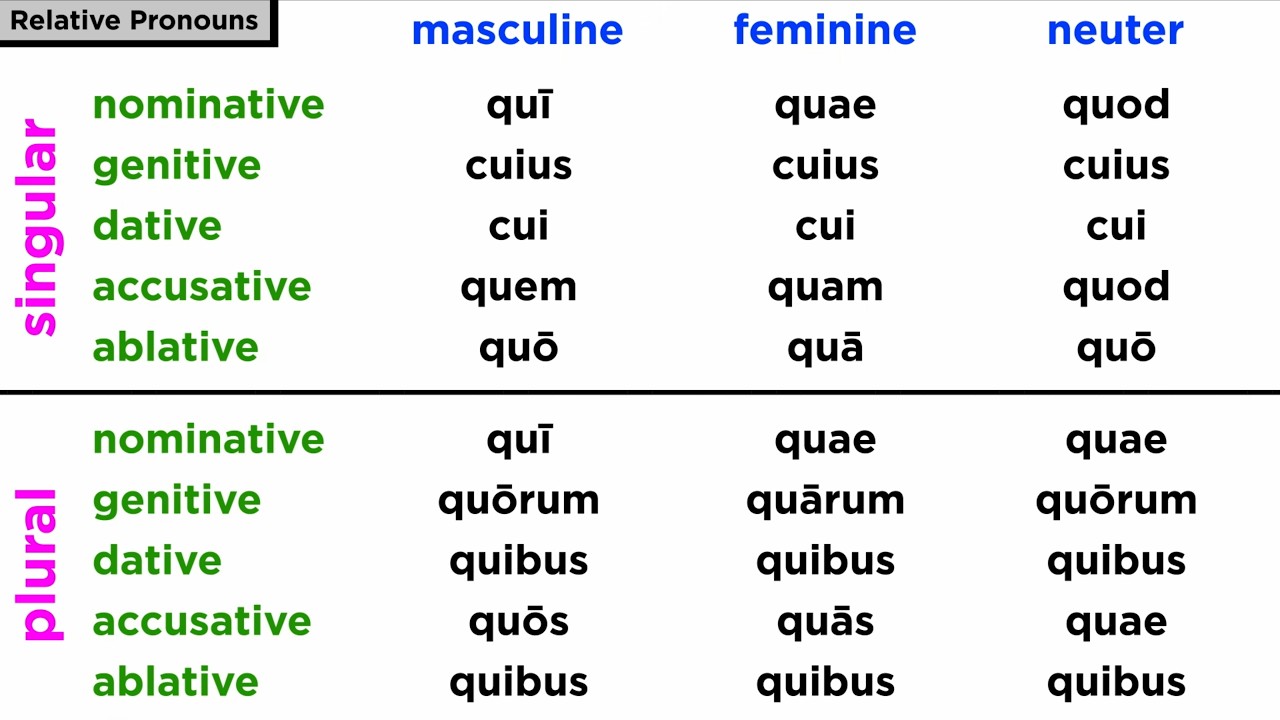The Relative Pronoun in Latin