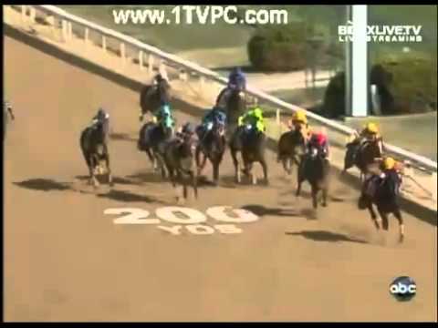 2010 Breeders' cup Sprint