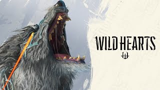 Wild Hearts video 1