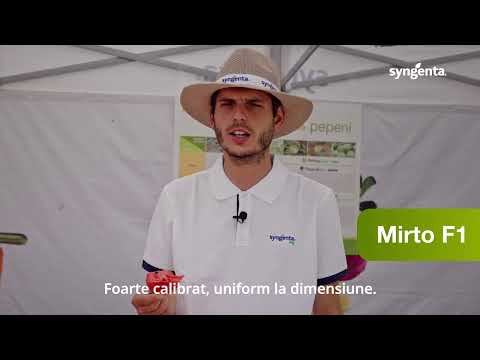 Degustare pepene verde Mirto / Gheorghe Doja