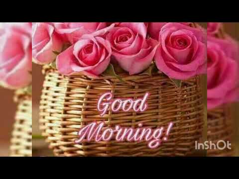 Good mornig wishes.subha bakhair whatsapp status.beautiful voice good morning  wish