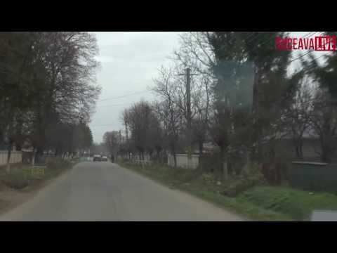 Catalin Nechifor   Receptie drum Zvoristea