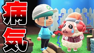 【あつ森】ちゃちゃまるが不治の病になってしまいました。。