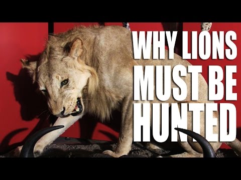 Why Lions Must be Hunted Why Lions Must be Hunted