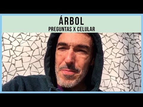 Arbol video Preguntas x Celular - Agosto 2019