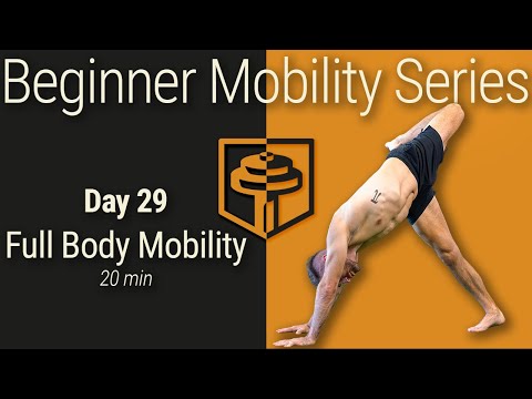 Day 29: Full Body Mobility | 20 Minutes | Beginner Mobility Series thumbnail