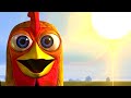 Il Gallo Bartolito Canzoni Per Bambini Il Regno Dei Bambini