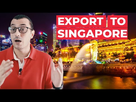 , title : 'HOW TO START AN IMPORT EXPORT BUSINESS IN SINGAPORE | Export to SINGAPORE'