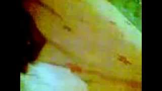 Download lagu papa jahat... geli....(001).3gp mp3 Download lagu papa jahat... geli....(001).3gp mp3