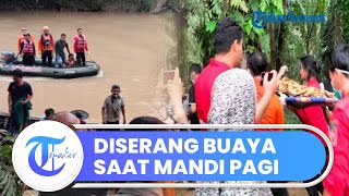Video Detik-detik Evakuasi Bocah 9 Tahun yang Diterkam Buaya saat Mandi di Sungai Batang Masang