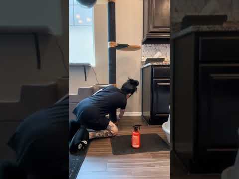 #cat Replying to @Anime yes! I put my boxes where my cats tell me to. I know it